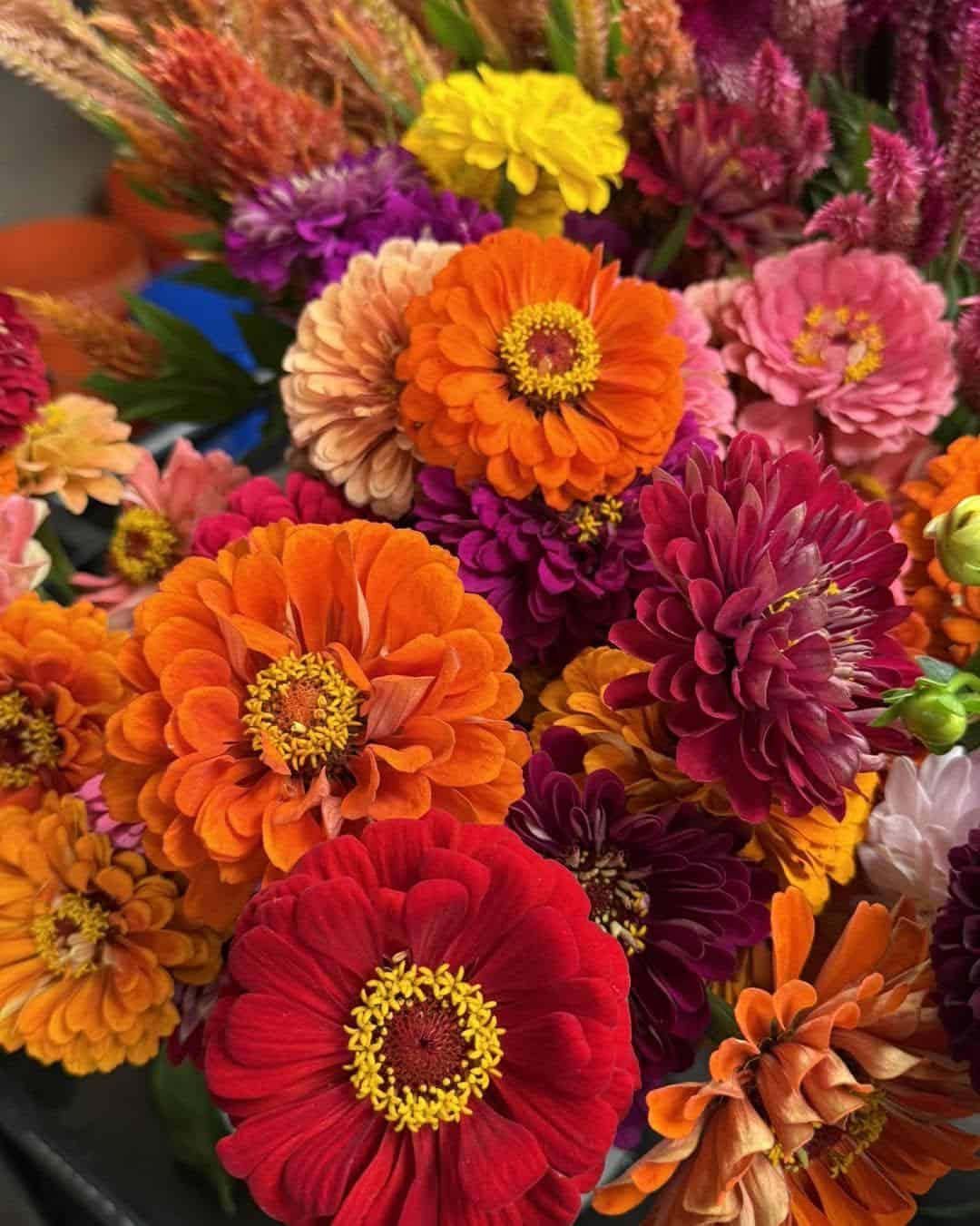 Nanz & Kraft Florists, a florist located in Louisville